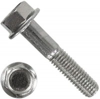 62 Автокрепеж  болт с пресс шайбой под звездочку 5,9x22,4x13,8 mm